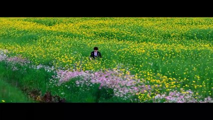 Ao Sul do Coração 1° Temporada Trailer Oficial