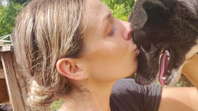 Stray Dog Follows Woman's Scooter For Weeks