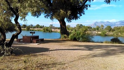 Old film❤️Adoptable Valentine, Elizah Blue & Garfield At PACC 9-12-2017❤️Lake Walk, Meet & Greet Area