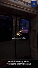 That's true ❤️❤️❤️ #reelsviralシ #FreePalestine #shortsvideos #shorts