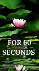 60 Seconds to ZEN _ Instant Calm In Uncertain Times [Short Meditation]