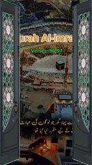 Surah Al Imran verses 96-97 Urdu Translation Short video _(720P_HD)