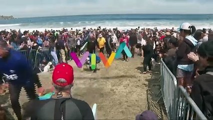 GEMAS! Puluhan Anjing Membelah Ombak di Kejuaraan Selancar