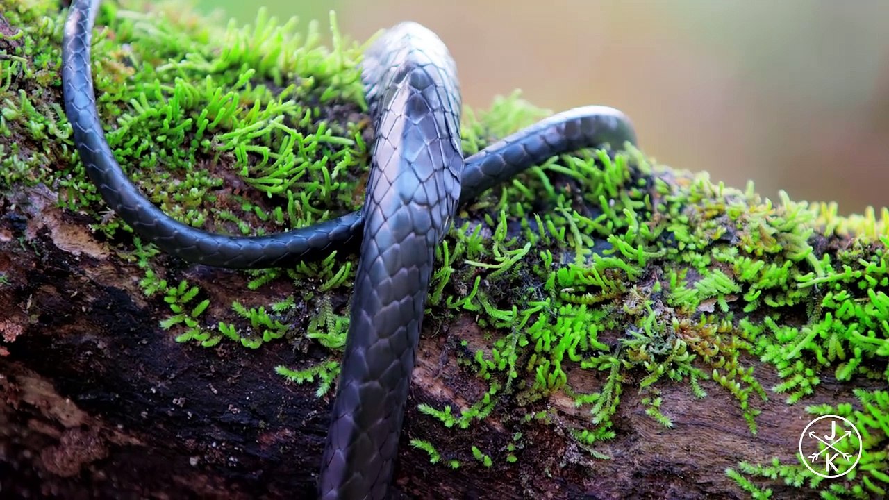 (5166) COSTA RICA IN 4K 60fps HDR (ULTRA HD) - YouTube