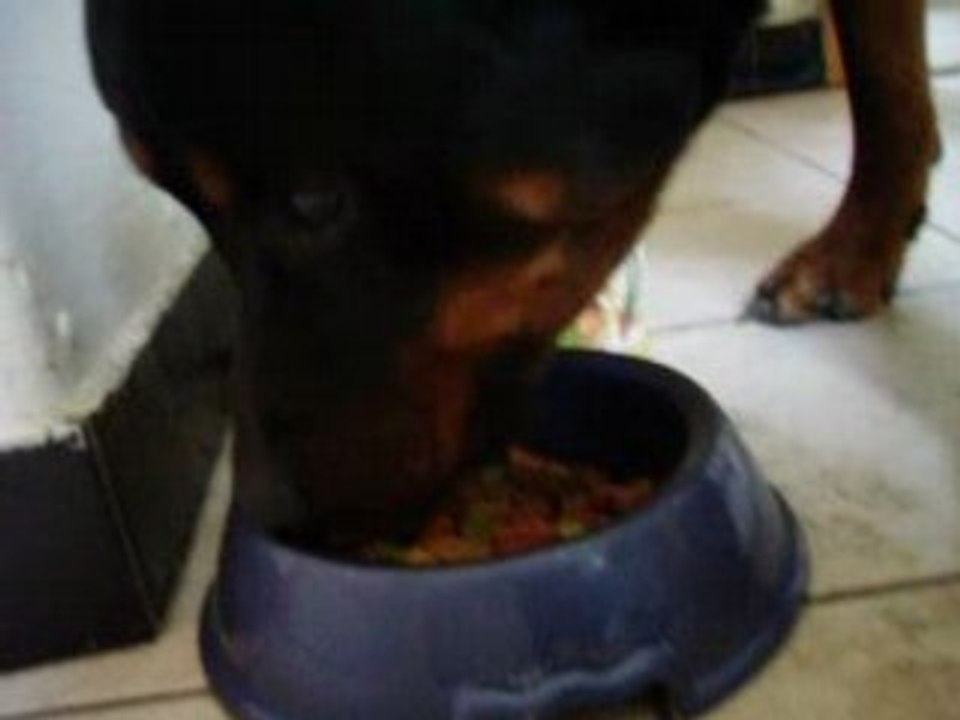 spike mange