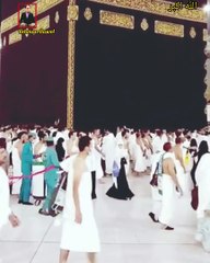اللہ عزوجل ہمیں بھی کعبہ کا طواف اور حضور صلی اللہ تعالی علیہ والہ وسلم کی روضہ کی حاضری نصیب فرمائے