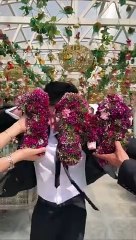 1_Million_celebration!♥️___Raj_Grover___#shorts(360p)