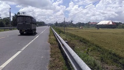 Harvest rice beside the road - 道端で稲刈り - Cosecha de arroz al lado de la carretera - máy gặt đập lúa