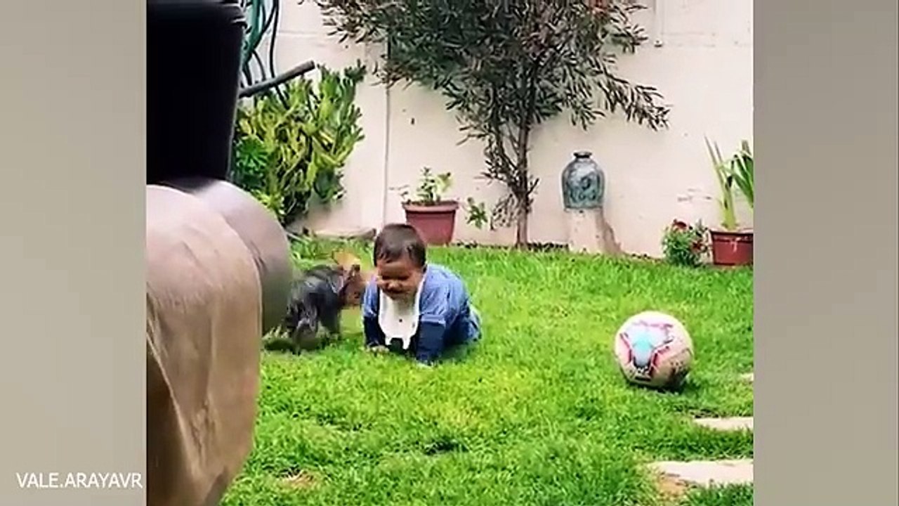 When your dog becomes a big brother - Cute Moments Dog and Human