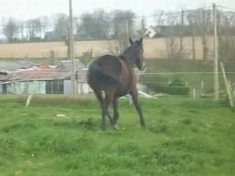 Nyamoko se laisse pas attrapé 1