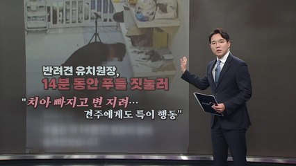 반려견 유치원서 학대?... "치아 빠지고 특이 행동" [앵커리포트] / YTN