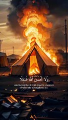 _  أكتب شيء تؤجر عليه#quranalkareem #quran #quranmethod #islam_sobhi_#القرآن #quranlife #quranmajid #quranperfect #quransounds#إسلام_صبحي  #عبدالرحمن_مسعد_#اسلاميات