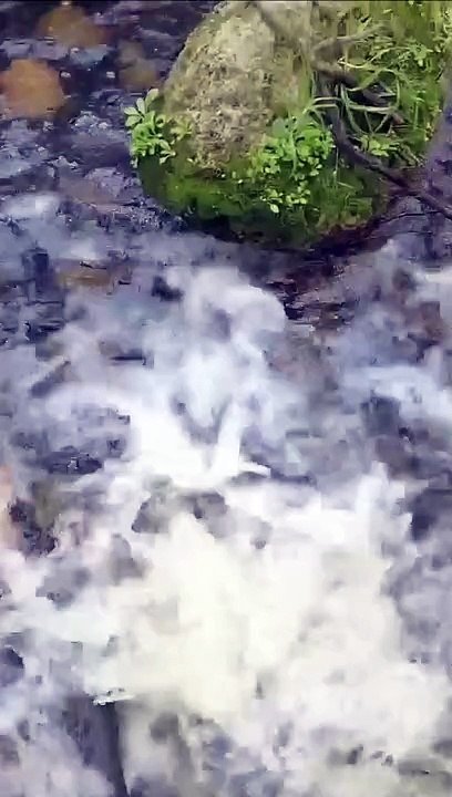 Yangebup Lake 2