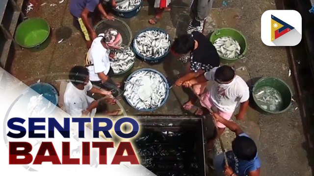 Ilang rehiyon, magbebenta ng P29/kg na bigas sa vulnerable sector; supply ng pagkain sa bansa, sapat pa rin sa kabila ng pagbaba ng produksiyon nitong 2nd quarter ayon sa DA