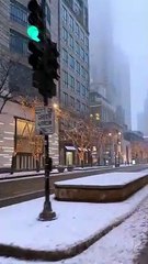Chicago ♥️❄️ a winter wonderland drive ❄️️Michigan Ave Chicago IL  #chicago #downtown #chicagodowntown #chicagoarchitecture #foryourpage #usa #foryoupage #foryou