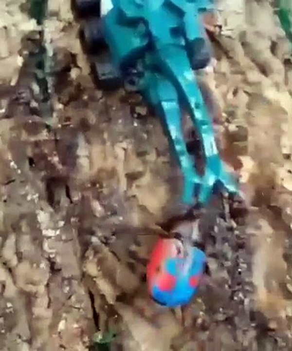 Beetles can lift up to 1100 times it weight