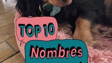 Los nombres más graciosos y originales para perros