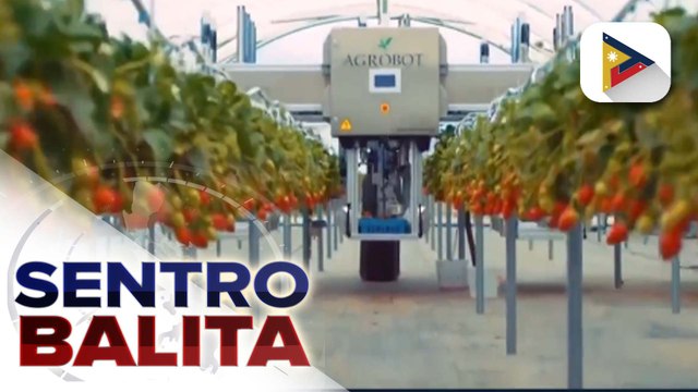 Nobel Laureate na si Muhammad Yunus, pangungunahan ang interim government ng Bangladesh;