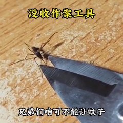Funny mosquitos