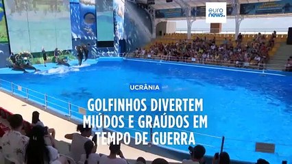 Delfinário de Odesa tenta animar a população mesmo em tempo de guerra