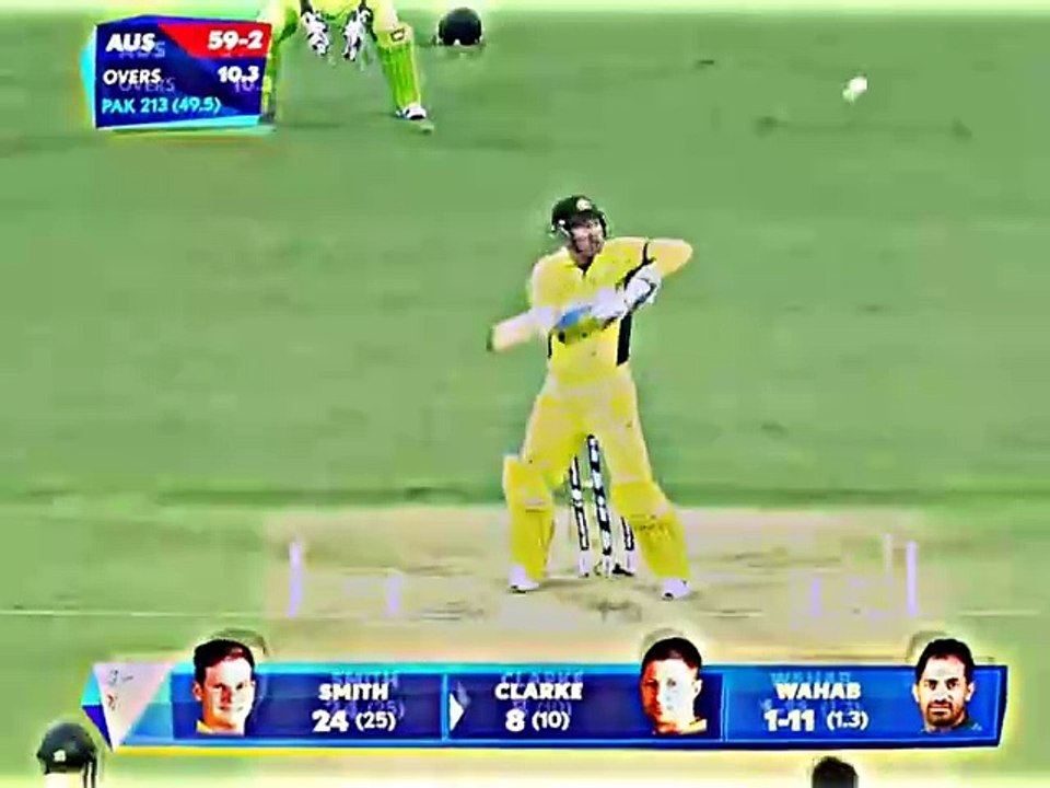 Big fight by Wahab Riaz and Watson