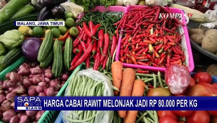 Descargar video: Harga Cabai Rawit di Pasar Tradisional Klojen Kota Malang Tembus Rp 80.000 Per Kg