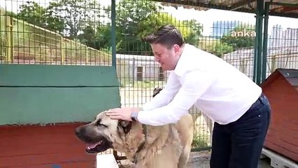 “Uluslararası Kalamış Yaz Festivali” için geri sayım başladı