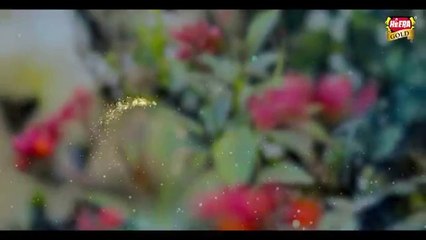 New_Heart_Touching_Naat__-_Rao_Ali_Hasnain_-_Haal_e_Dil_-_Official_Video_-_Heera_Gold(360p)