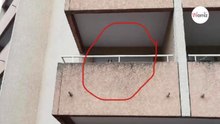 Familie macht schockierende Entdeckung auf Nachbars Balkon