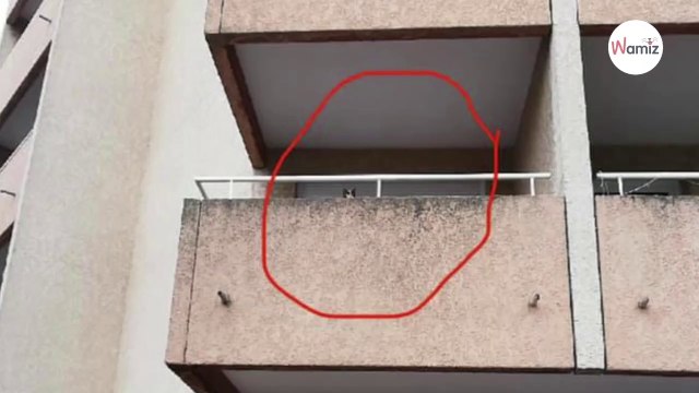 Familie macht schockierende Entdeckung auf Nachbars Balkon