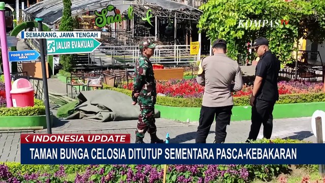 Imbas Kebakaran Hebat, Taman Bunga Celosia Ditutup Sementara