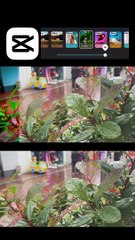 Capcut Colour grading Tutorial  .......#mobilephotography #i̇phoneography #capcut #capcutedit #colour_st...aaphers #cinematic #trendingreels #capcuttutorial #lingenems #colourgrading #reelsindia #colurful_shots #colorgrade #fypシ