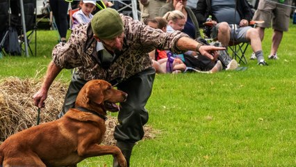 Highlights from Brecon County Show 2024