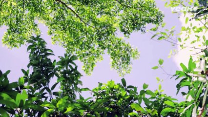 Mẹ Đơn Thân CHẠY CHỮA BỆNH TIM Cho Con Vài Tháng Tuổi Gặp Ân Nhân Và Cái Kết - Bánh Mì