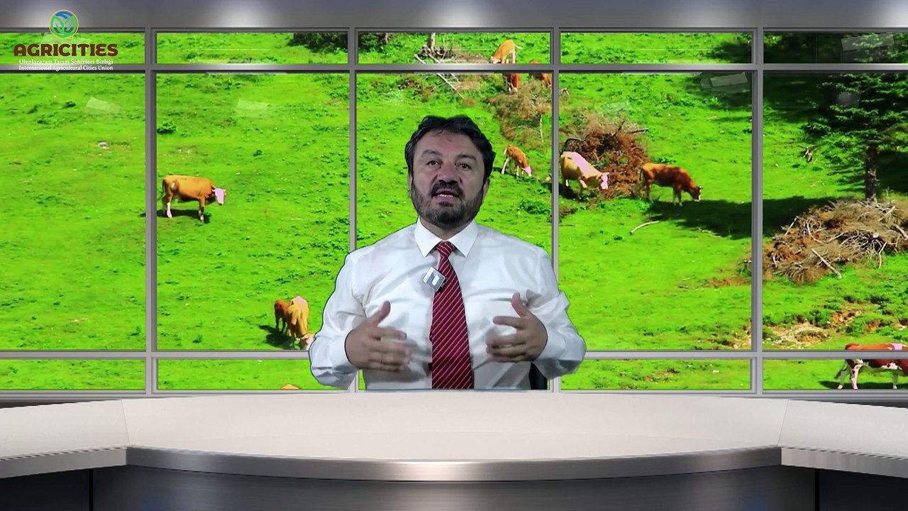 Hayvancılıkta Yeni Destekleri Anlama Kılavuzu