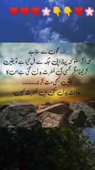 Viral Islamic WhatsApp Status ✨