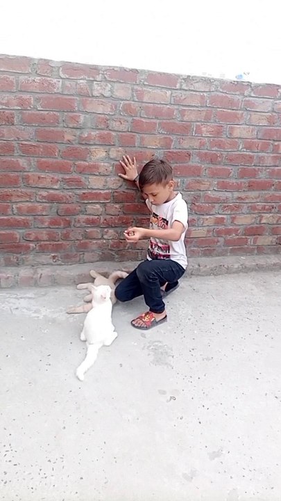 Cute baby playing with cats