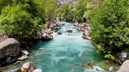 Yaban hayatı ve doğanın buluşma noktası: Munzur Vadisi Milli Parkı