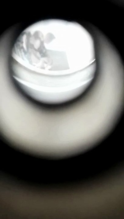 WATCH: Northampton men banned from keeping animals for life after horrific abuse against dog