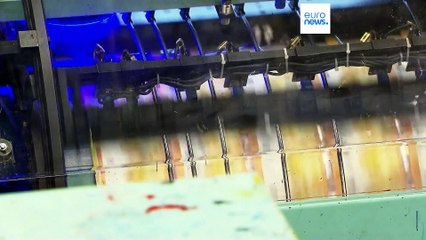 Bulgaria's political impasse risks postponing entry into Eurozone