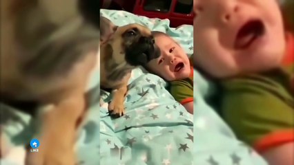 EPIC FAILS Compilation 2024:   Funniest Fail