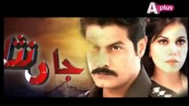 Jaan Nisar - Episode 05 - aPlus Entertainment TV