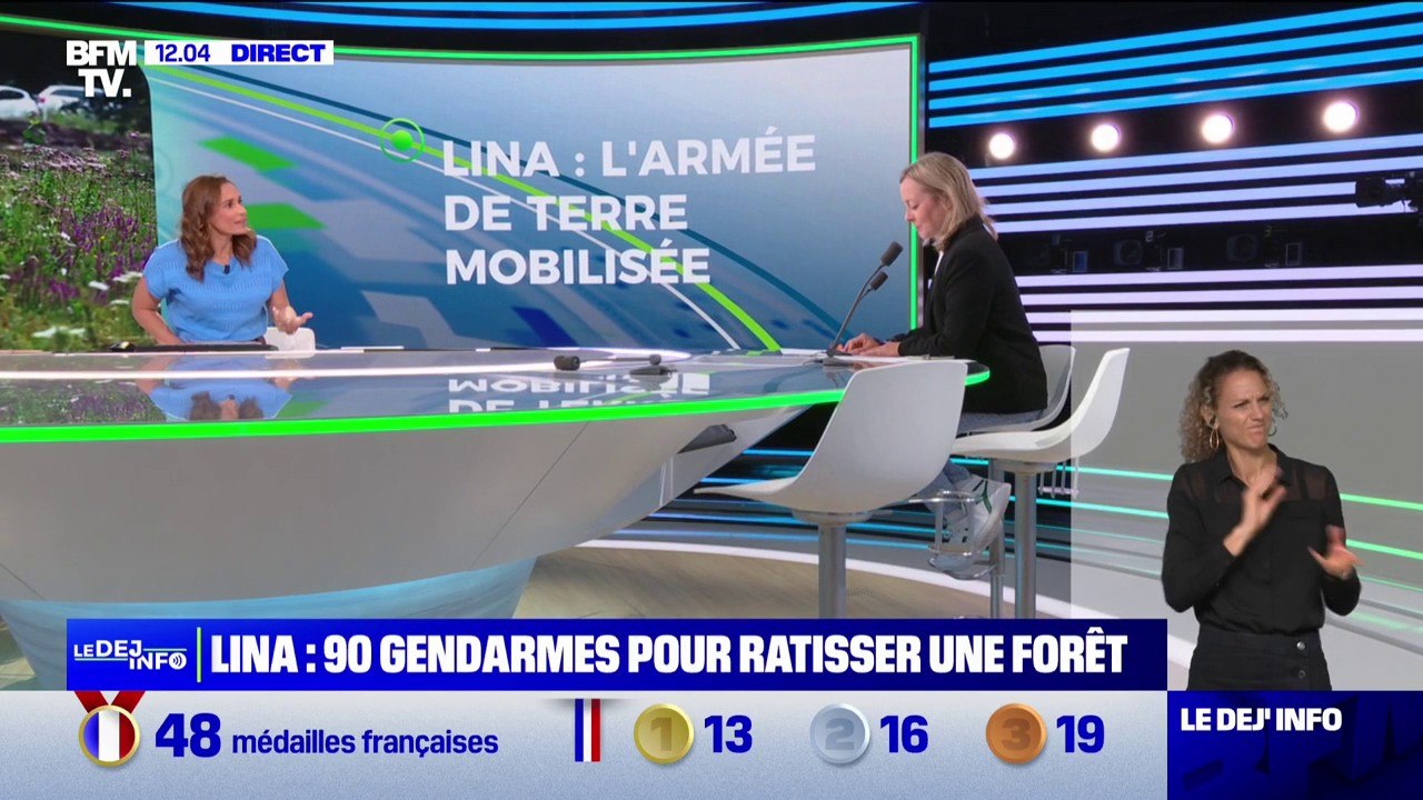 Disparition de Lina: comment s'organisent les recherches des gendarmes pour quadriller la forêt de Saulx en Haute-Saône