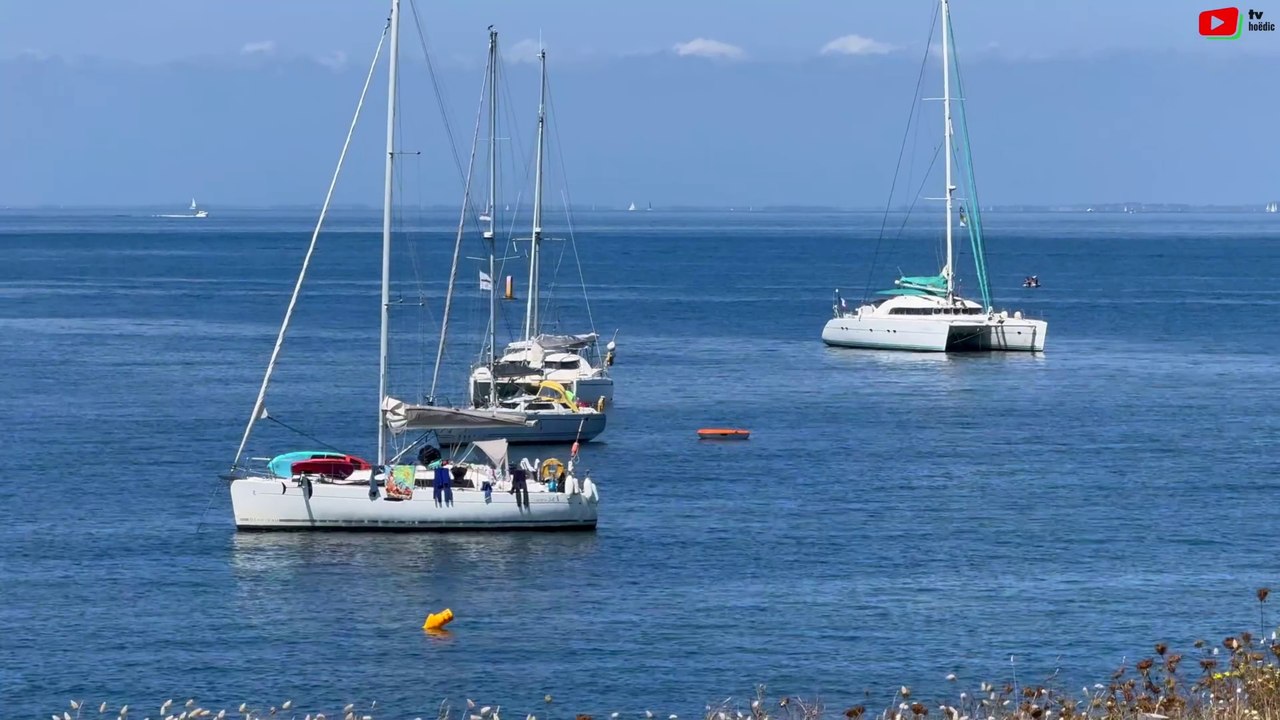 Île de Hoëdic |  Le petit Salon Nautique  |  Île de Hoëdic TV