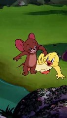 Descargar video: Swimming_Lessons_for_Little_Quacker__#shorts_#tomandjerry___‪@wbkids‬(360p)