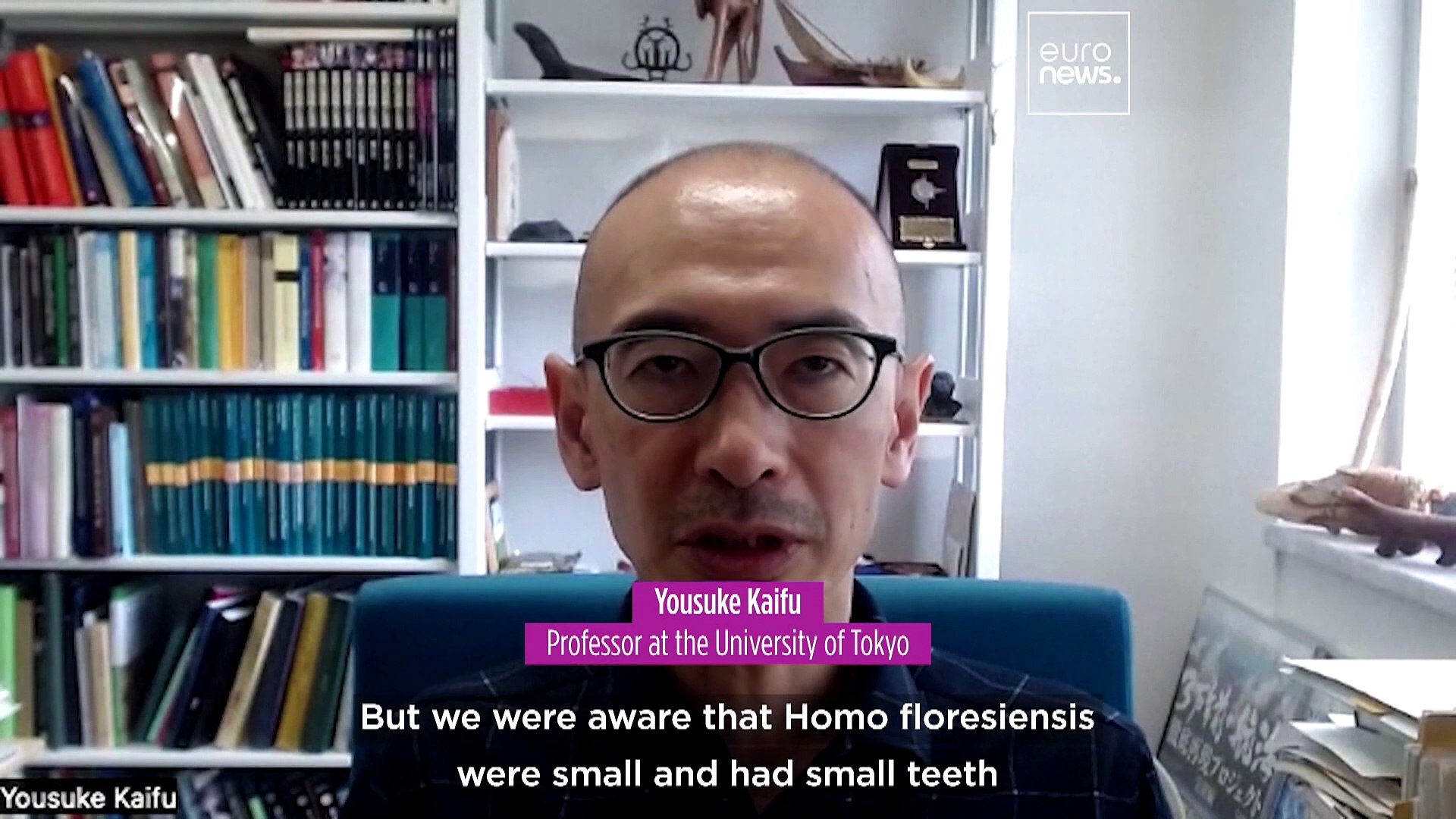⁣700,000-year-old bone discovery confirms existence of three-foot-tall early 'hobbit' human