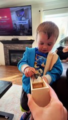 Spider ️ Box scary pranks with kid's