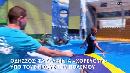 Οδησσός: Τα δελφίνια συνεχίζουν να «χορεύουν» υπό τους ήχους του πολέμου