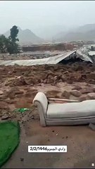 Watch: Camels, cattle swept away in Makkah floods