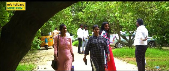 Mango Farmland for Sale - Free cab for Site Visit